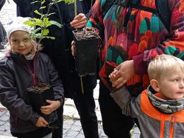44. Święto Kwiatów, Owoców i Warzyw - w optymistycznym kolorze, 